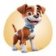 Dog grooming