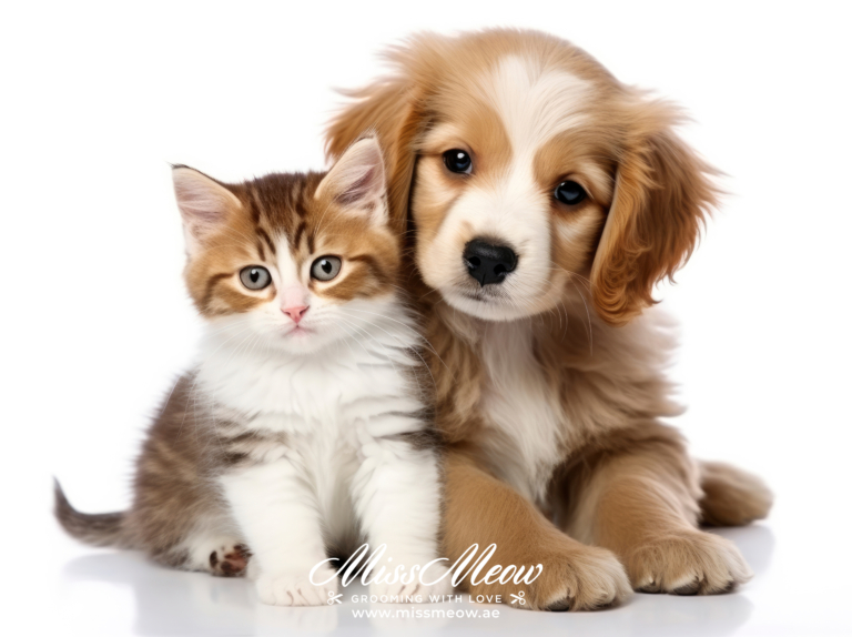 Manage allergies in pets
