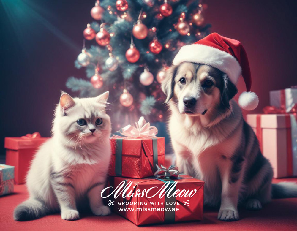 Christmas gift for your pet