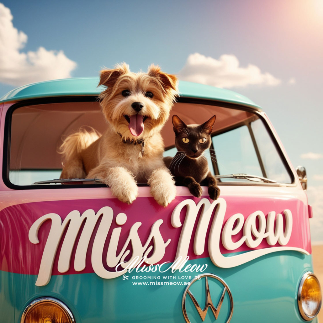 Vibrant whimsical photograph featuring