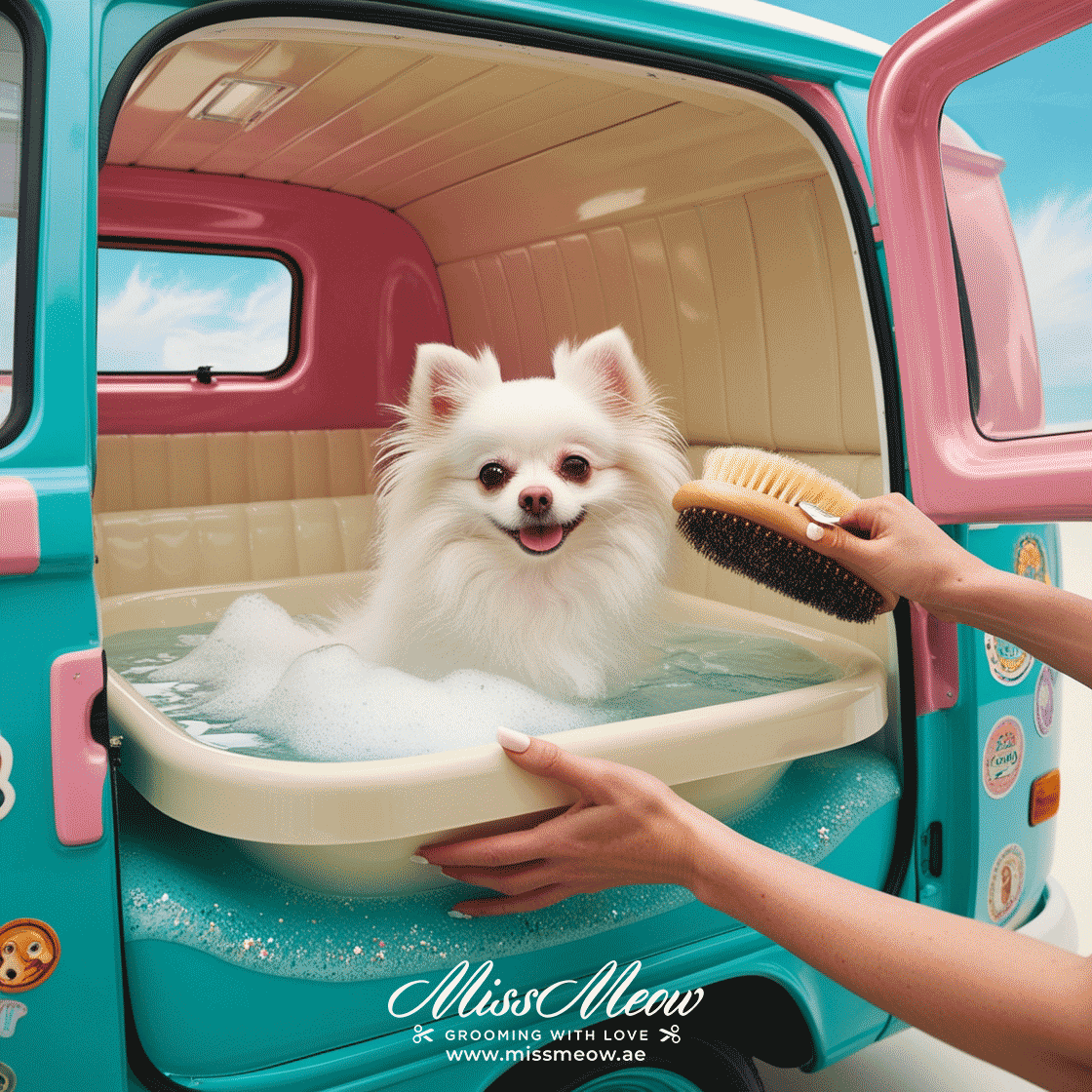 Mobile grooming in Dubai