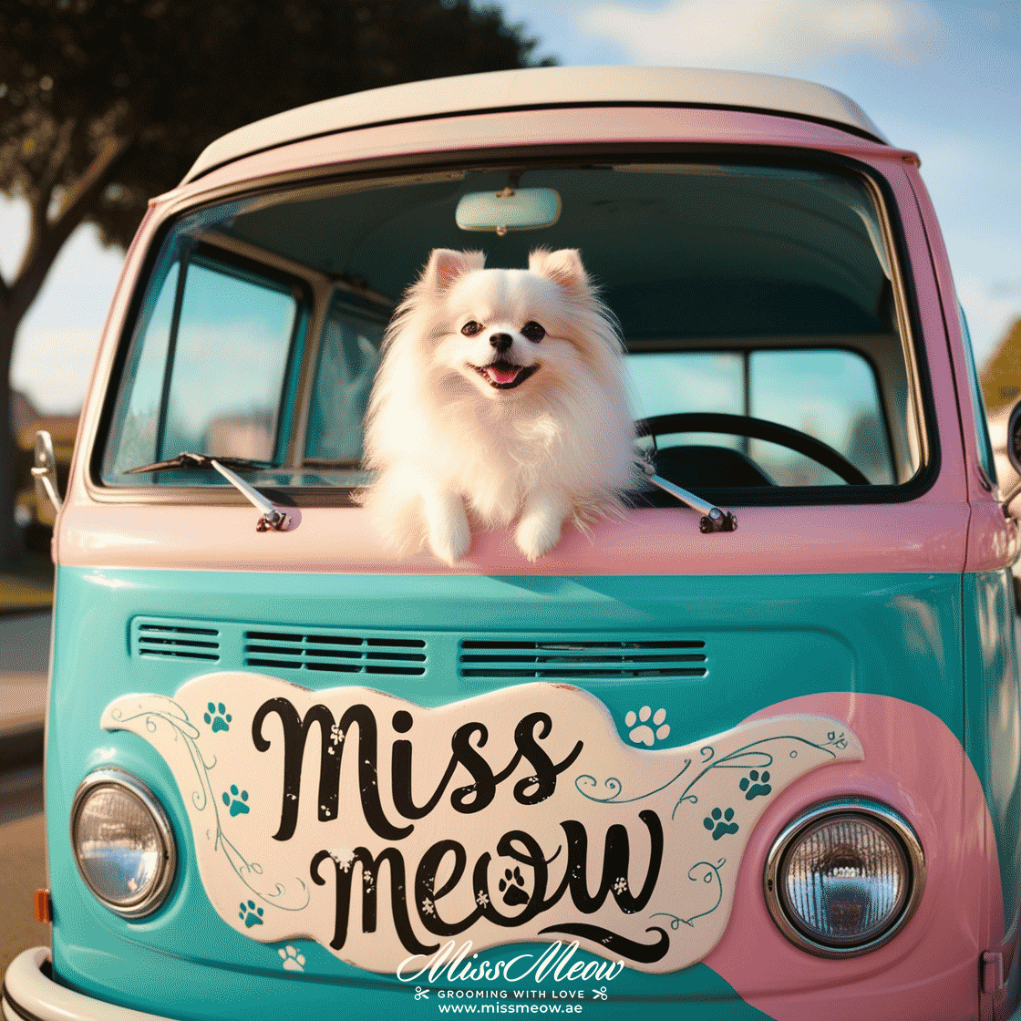 Mobile grooming in Dubai