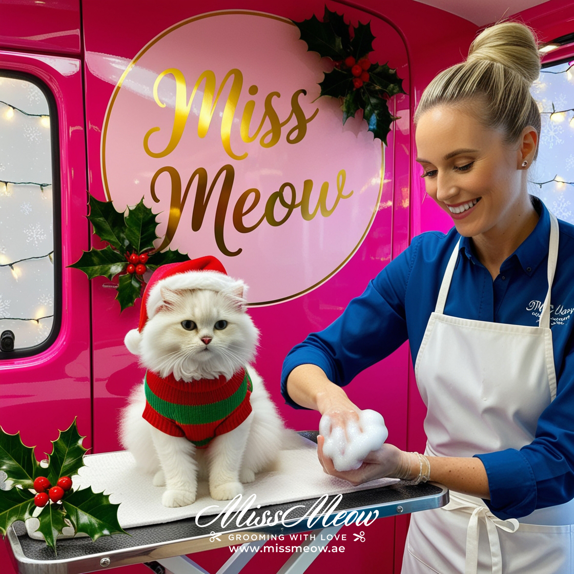 Holiday Challenges for Pets