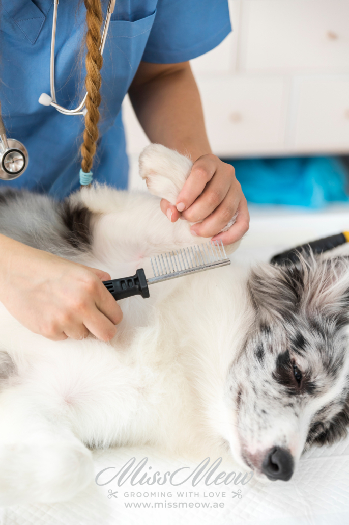 Preventing pet hair tangling