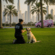 Best Dog Training in Dubai: Why Alpha Dog Training Stands Out