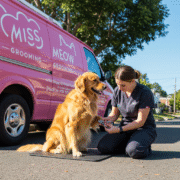 Essential Nail Care for Cats and Dogs