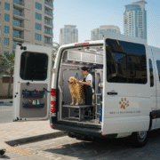 Top mobile pet grooming Dubai
