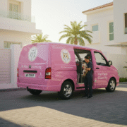 Advantages of Cat Grooming for Dubai's Hot Weather