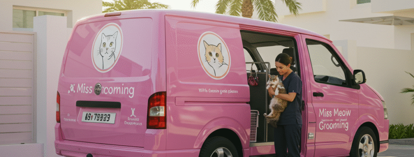 Advantages of Cat Grooming for Dubai's Hot Weather