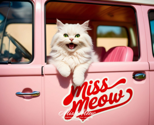 The Meaning Behind Cat Grooming