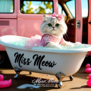 What Is Proper Grooming for a Cat?