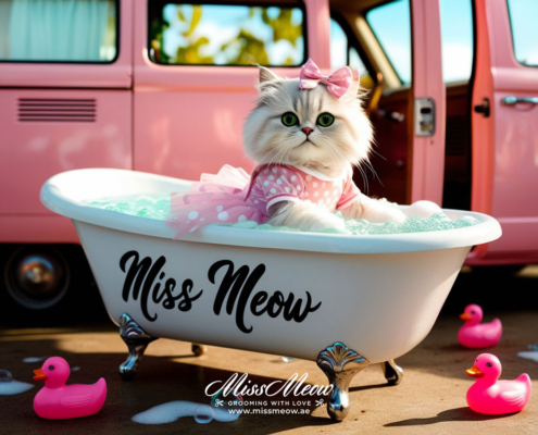 What Is Proper Grooming for a Cat?