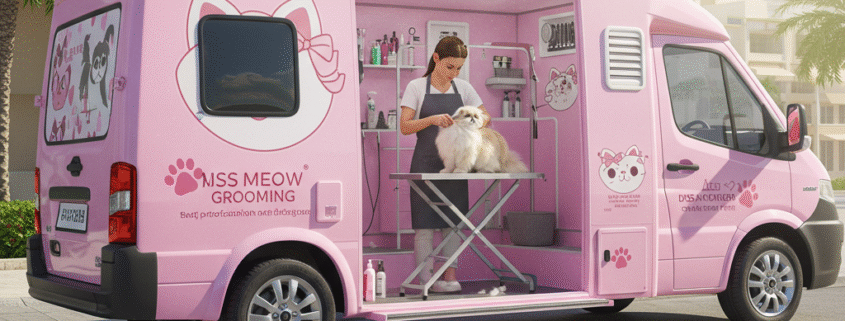 Why Grooming Is Essential for Cats During Dubai’s Summer