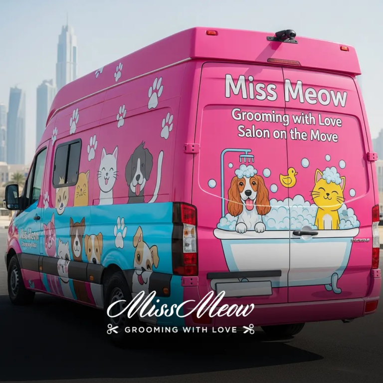 How Miss Meow Ensures Hygiene in Every Session