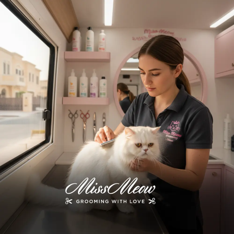 Why Grooming Is Part of a Healthy Lifestyle for Pets