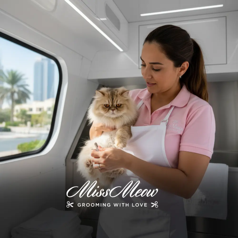 Miss Meow’s Emergency Grooming Services in Dubai