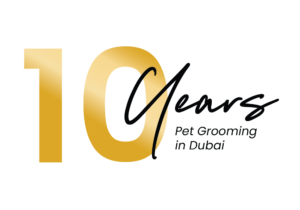 10 Years of Grooming