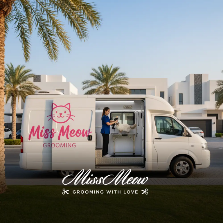 Pet grooming Dubai South