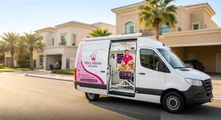 Cheap pet grooming Dubai
