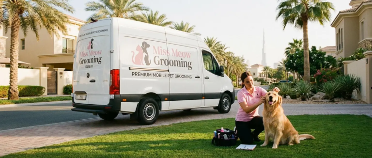 Tick and Flea Prevention for Dogs in the UAE