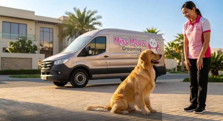 Deshedding Treatments: Say Goodbye to Pet Hair at Home
