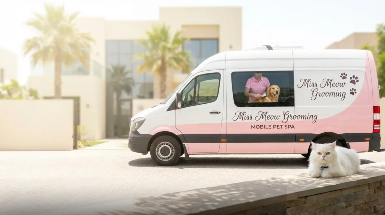Recognizing Skin Allergies in Pets During the Dubai Summer