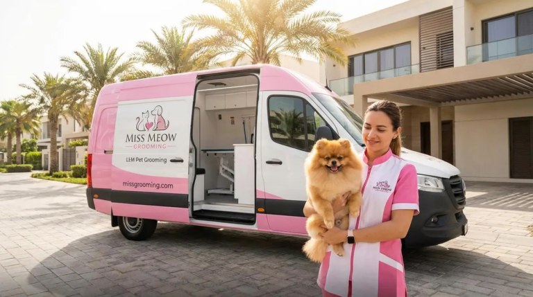 Top 5 Summer Haircuts for Dogs in the UAE