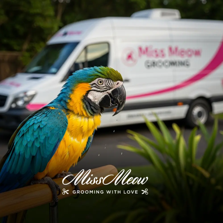 Bird Baths: How to Keep Your Pet Parrot Clean