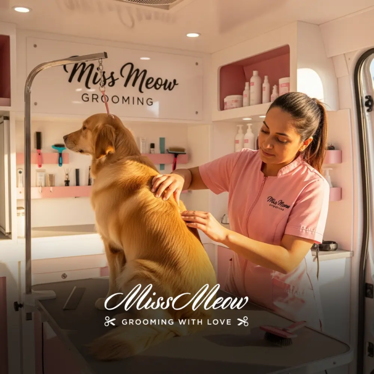 How to Check for Lumps and Bumps During a Grooming Session