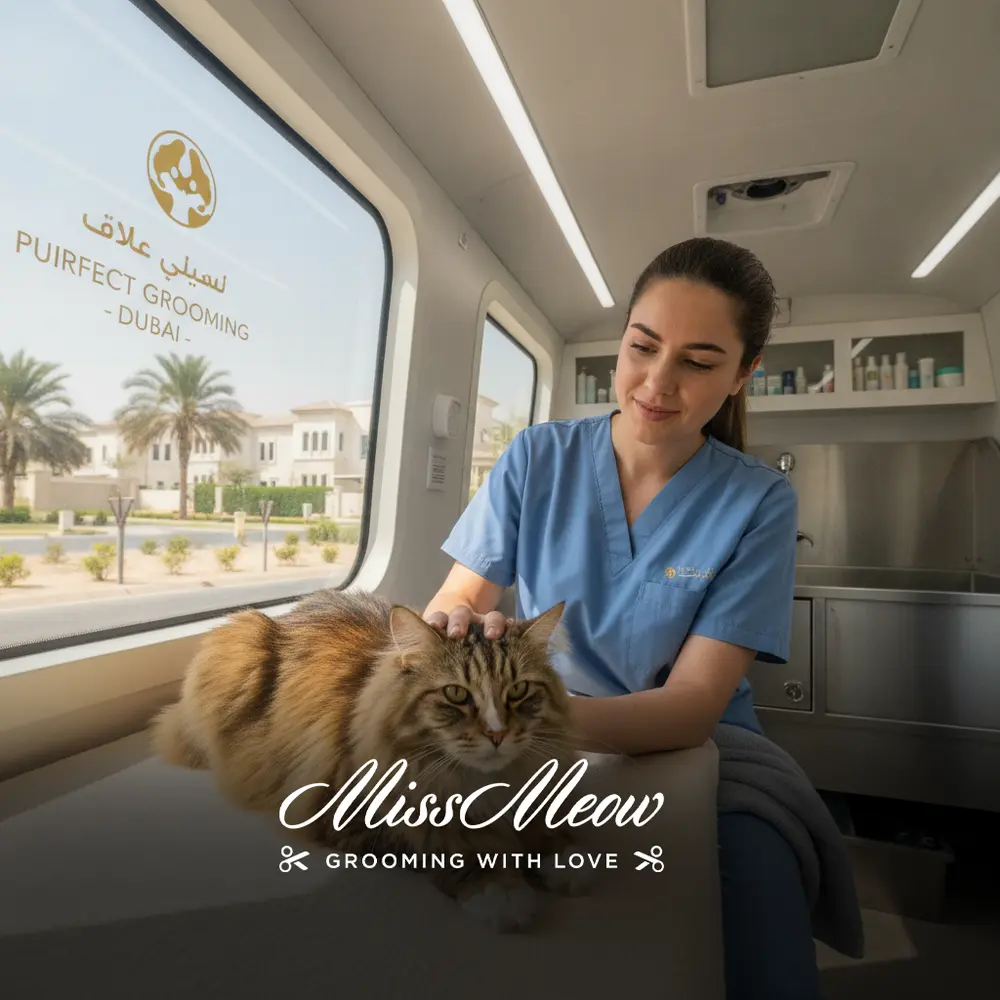 The Anatomy of Feline Grooming Anxiety