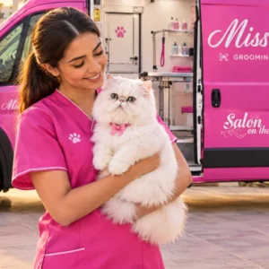 Freshly groomed white Persian cat held by a Miss Meow groomer