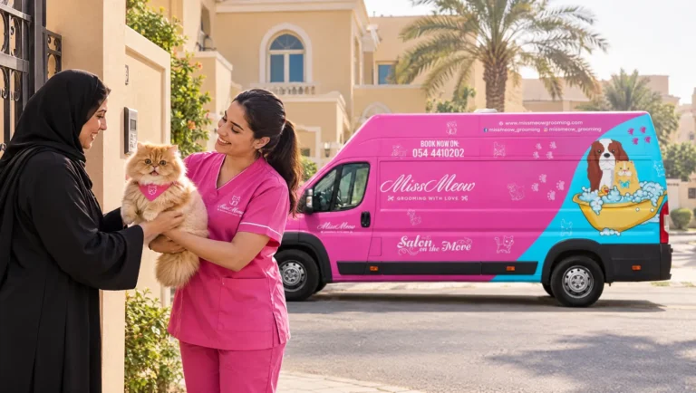 Miss Meow groomer handing a freshly groomed Persian cat back to its owner at a Sharjah villa, mobile grooming van behind