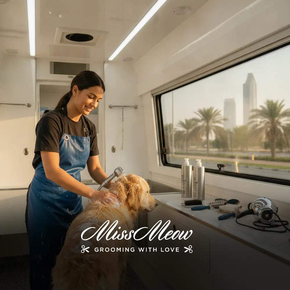 Why Golden Retriever Grooming in Dubai Matters